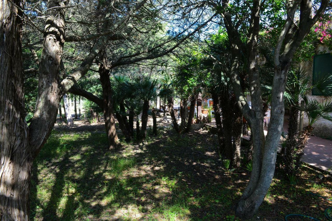 Villa Margherita Alghero Exterior foto